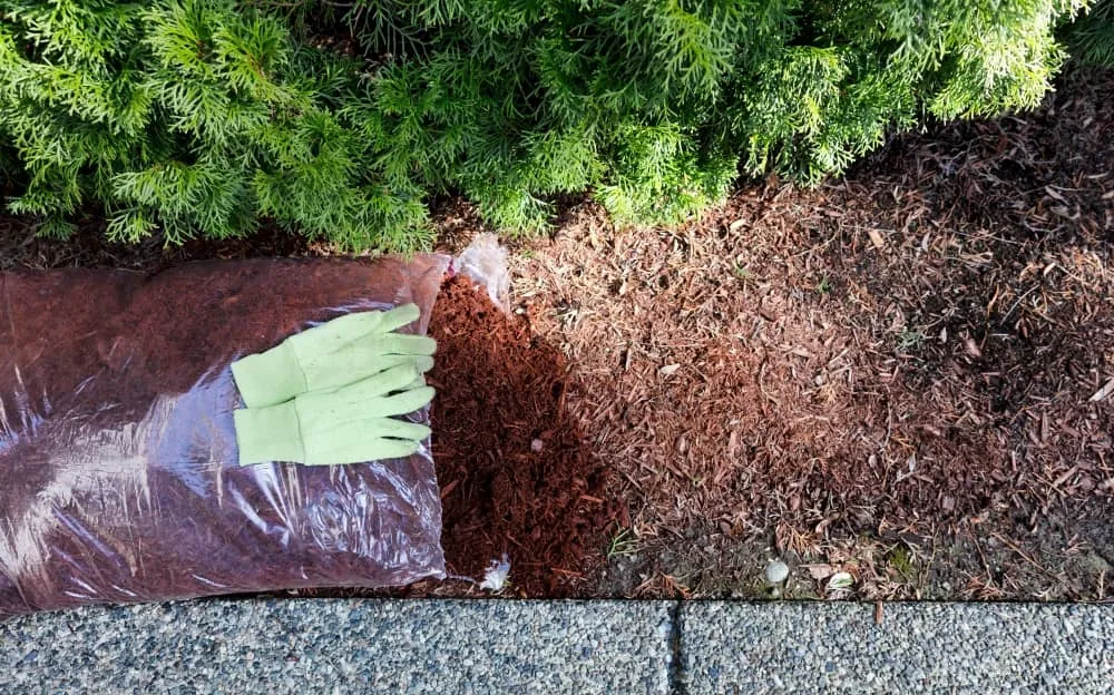 Garden Mulching 101: What You Need to Know