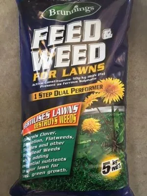 How to Care for Your Winter Lawn