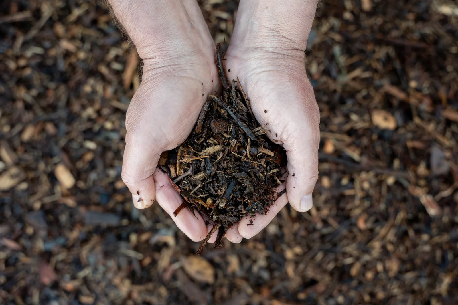 Forest Floor Mulch