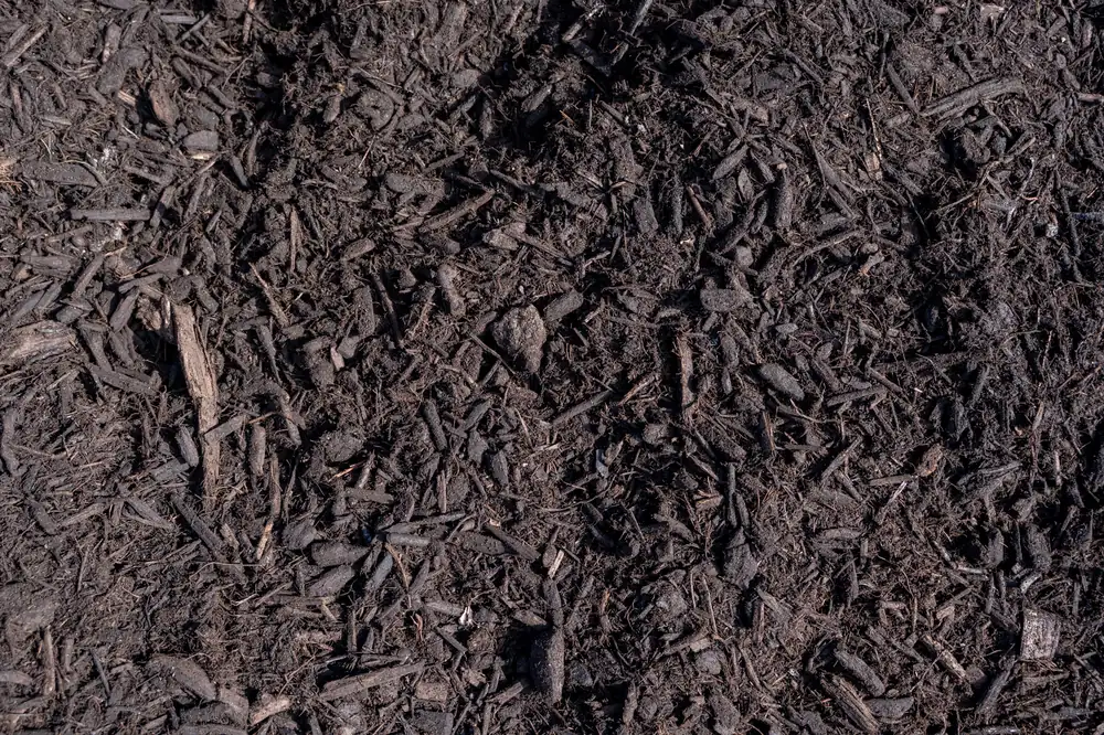 Jungle Mulch — Bibra Lake yard