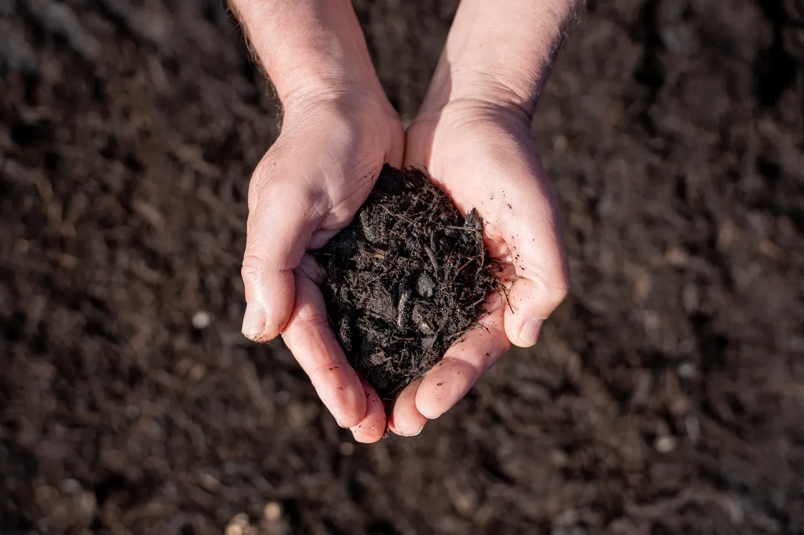 Mulch