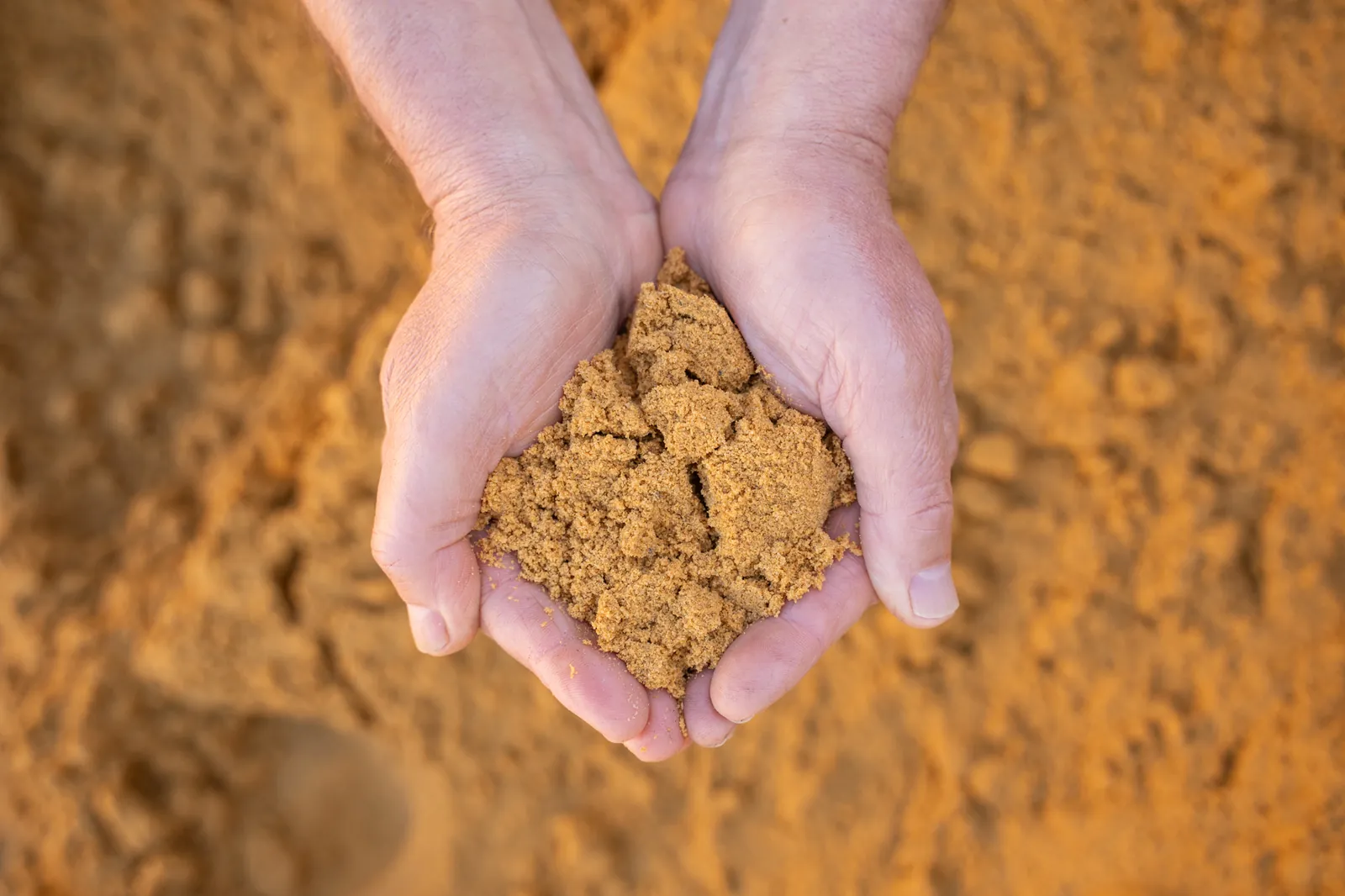 Lawn Sand