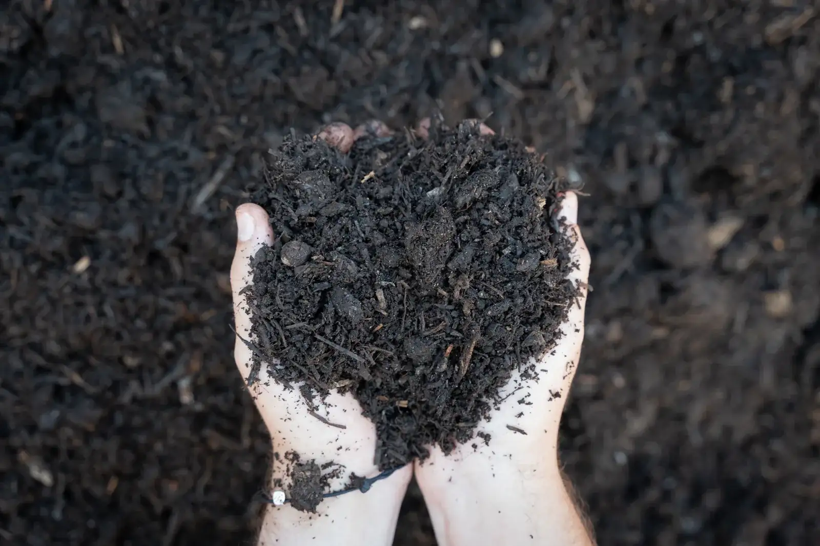 Compost at the Bibra Lake yard