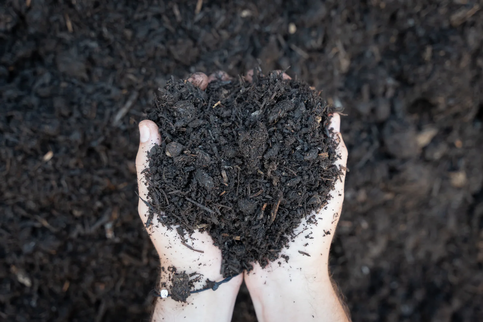 Mushroom Compost