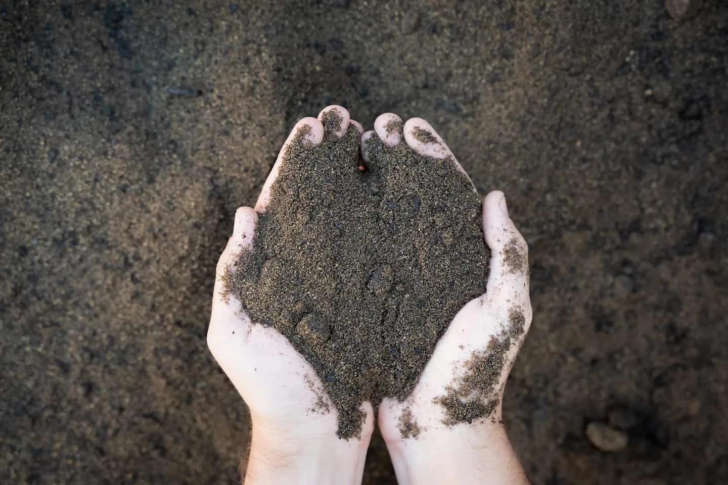 Native Soil Mix — Bibra Lake yard