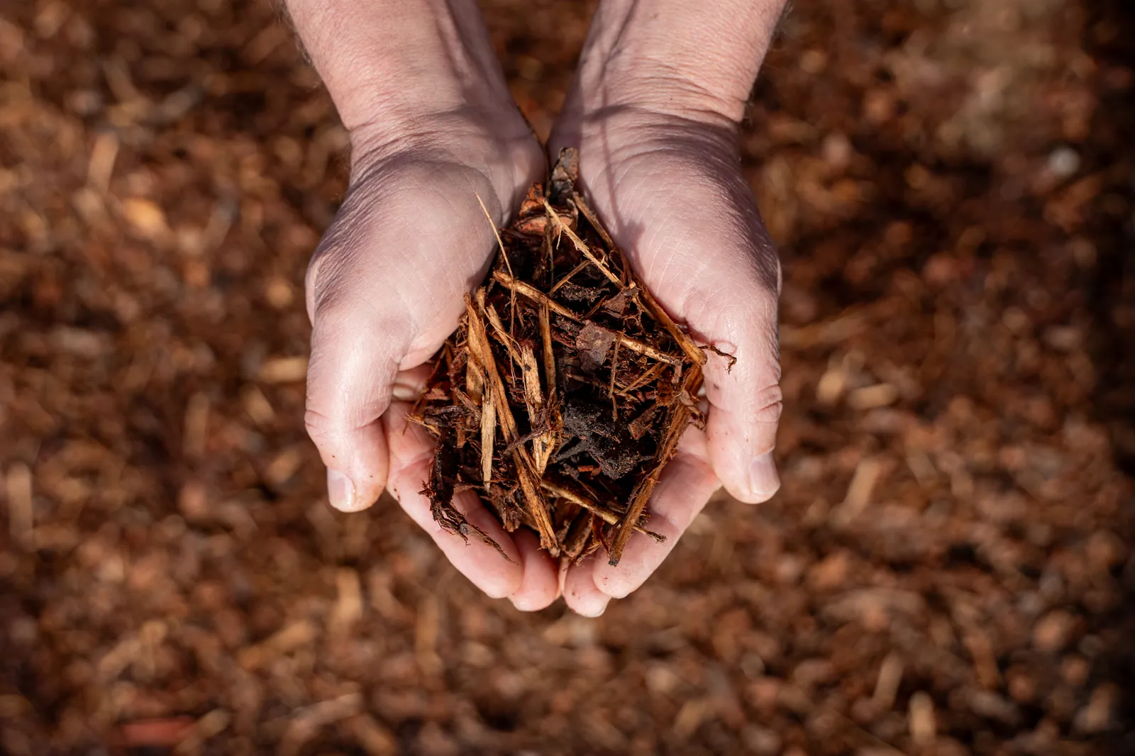 Pine Bark Mulch