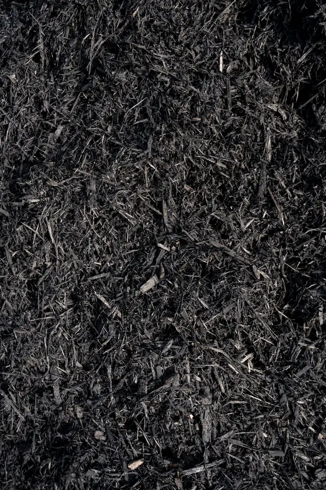 Premium Black Mulch — Bibra Lake yard