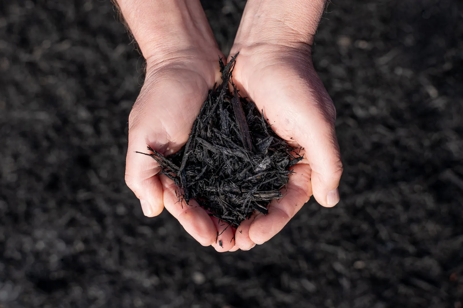 Premium Black Mulch