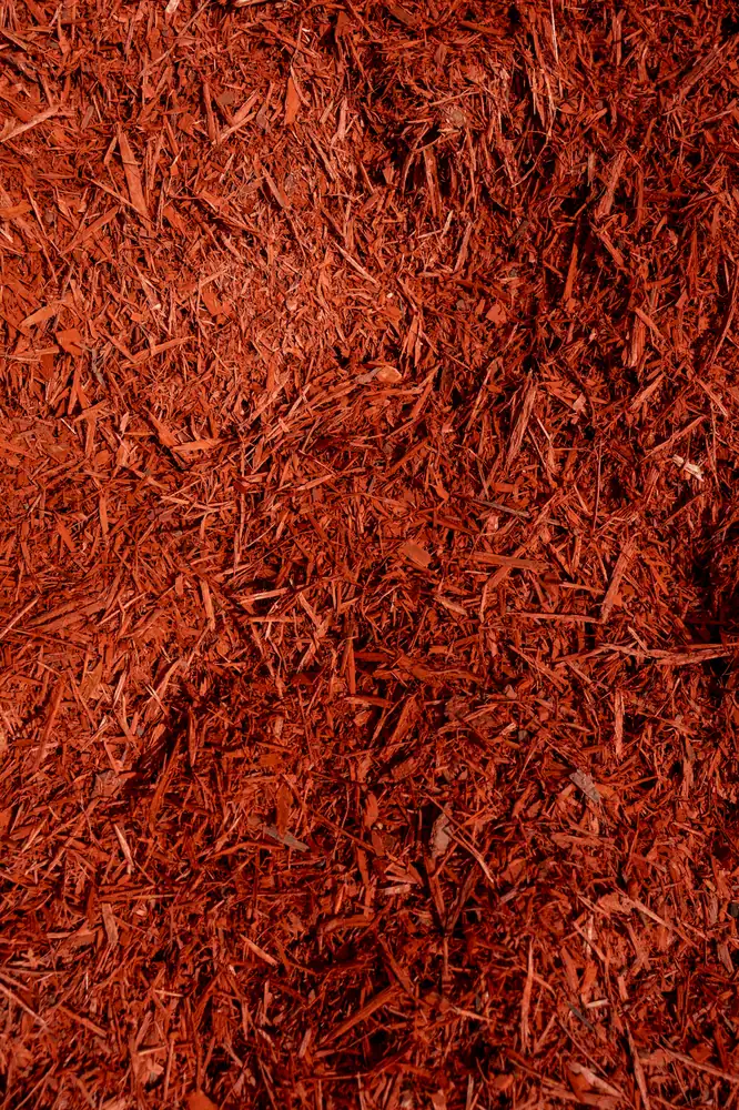 Premium Red Mulch — Bibra Lake yard