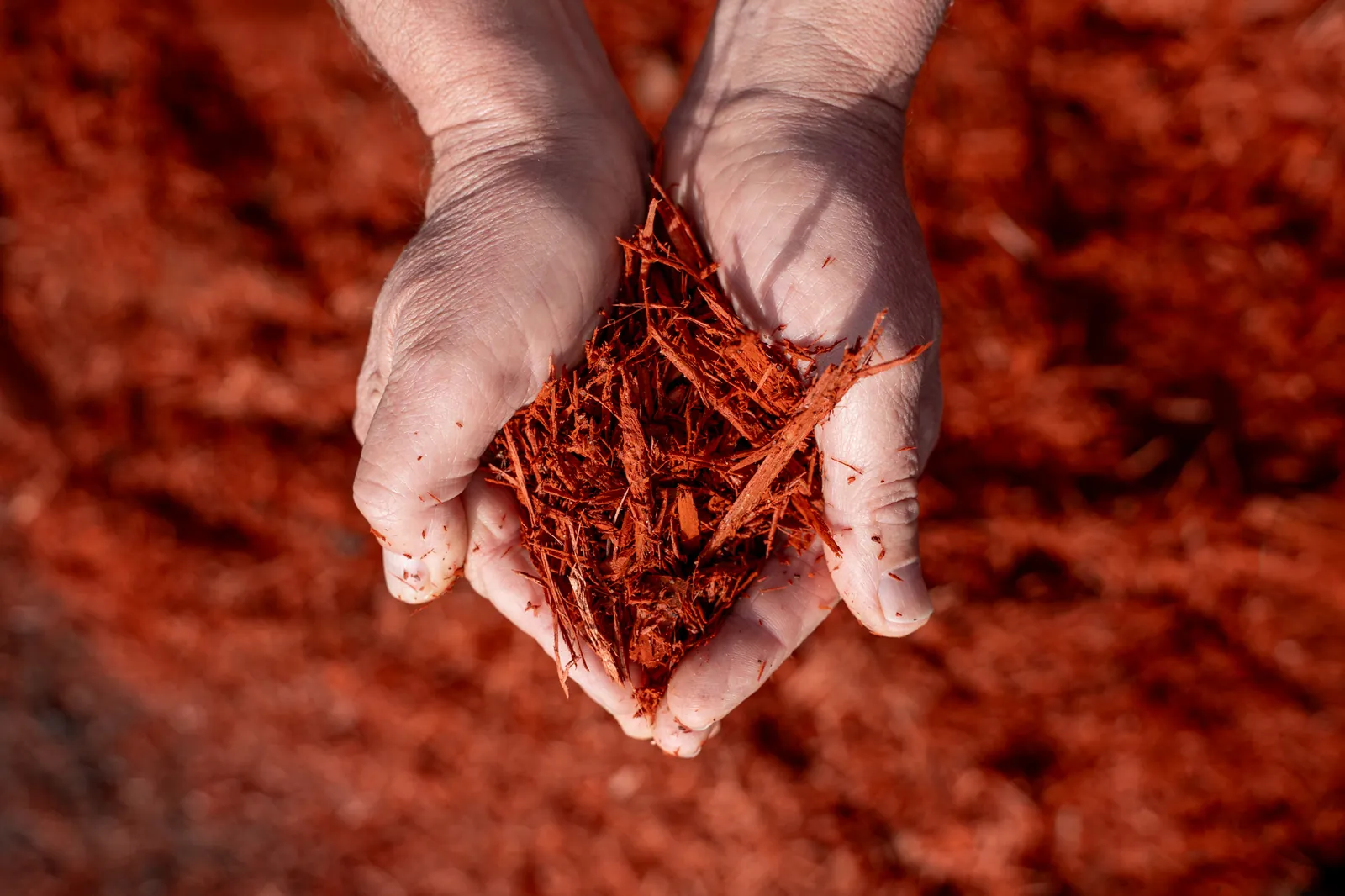 Premium Red Mulch