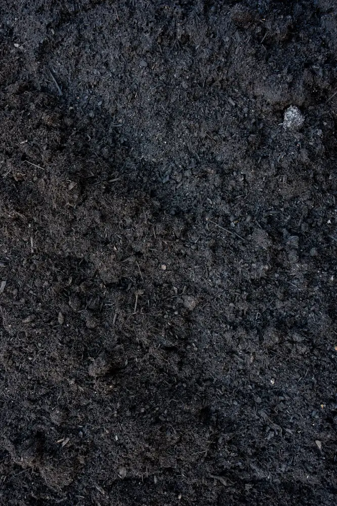 Soil Conditioner — Bibra Lake yard