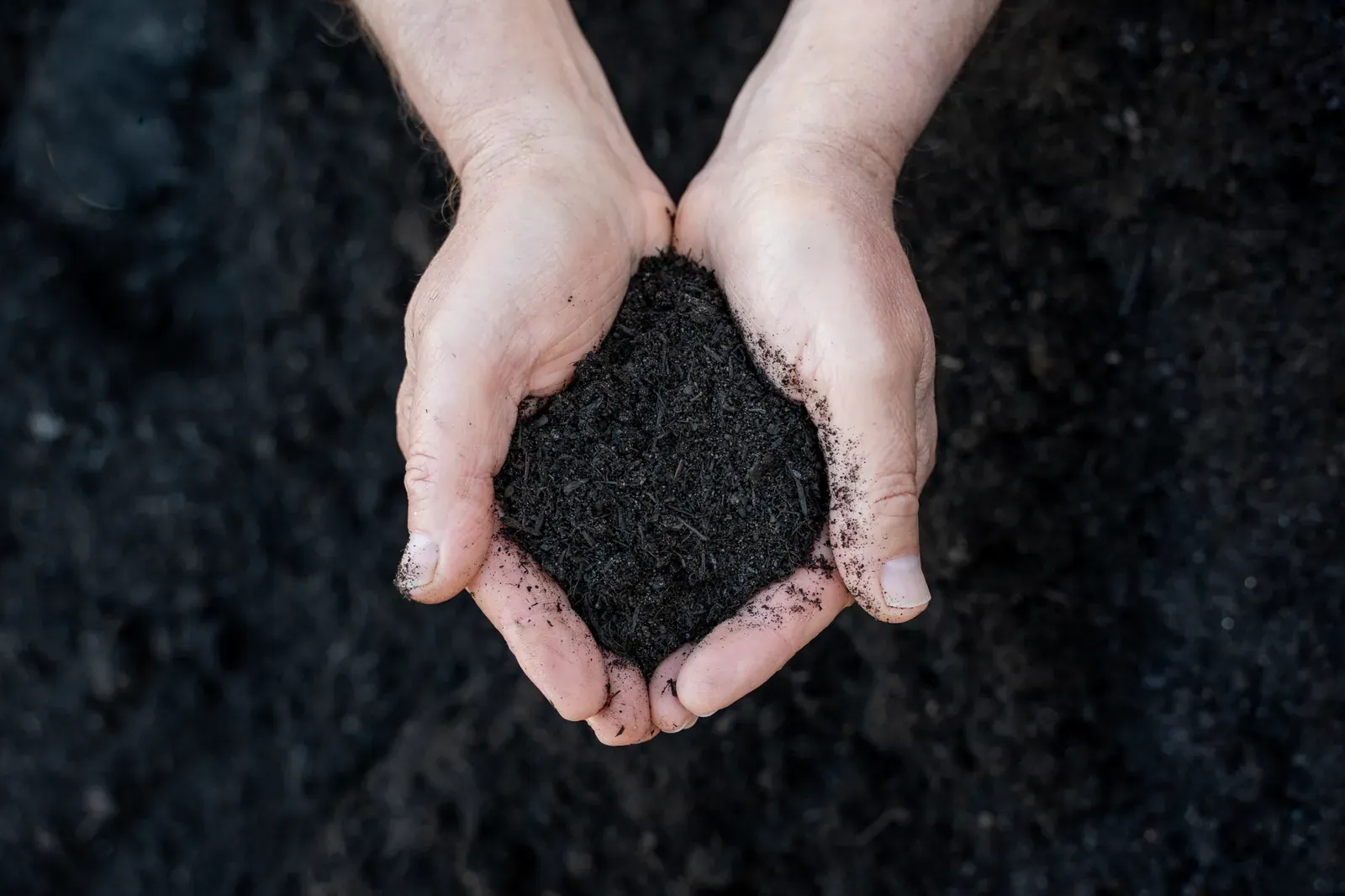Soil Conditioners at the Bibra Lake yard