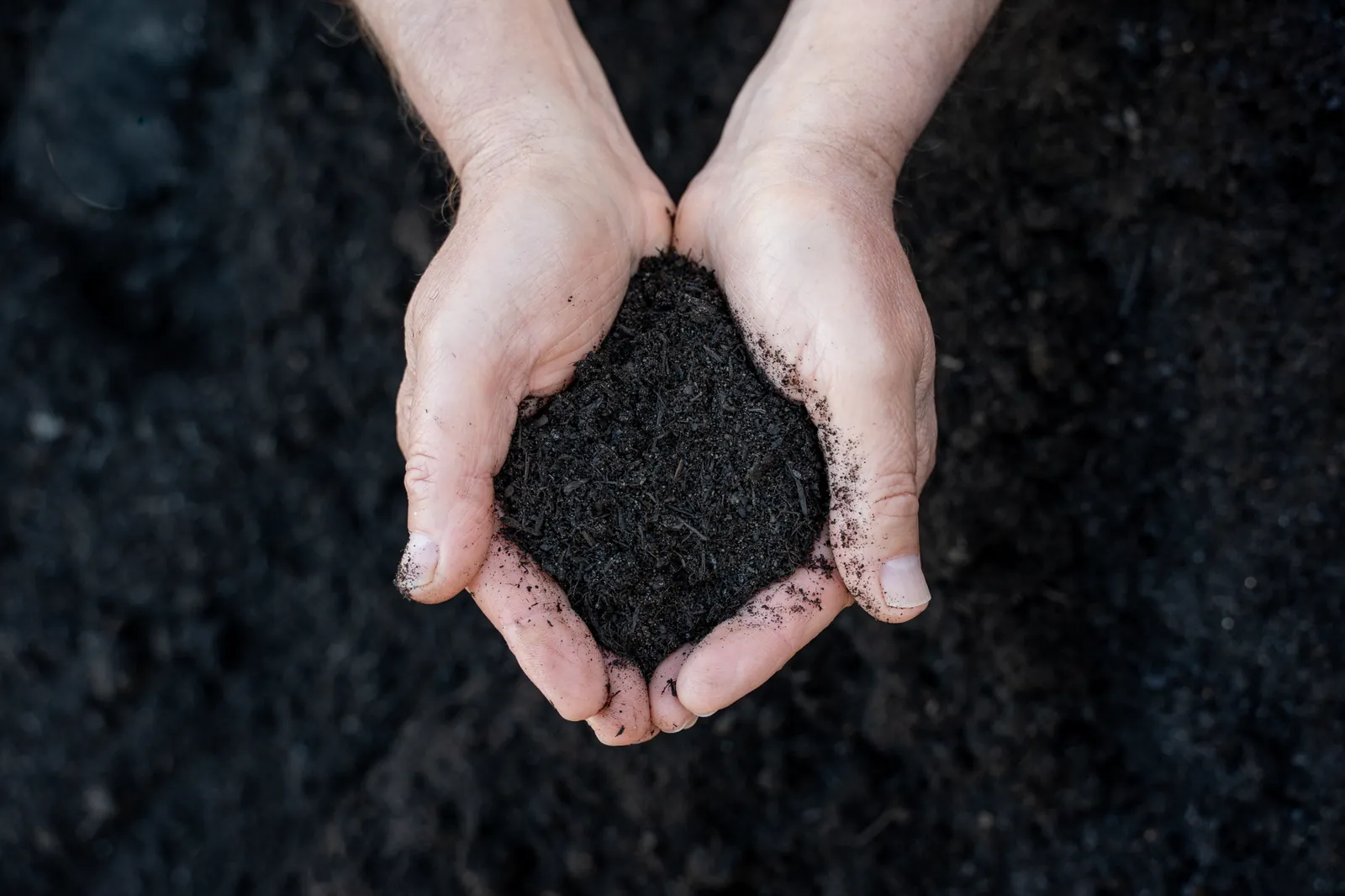 Soil Conditioner