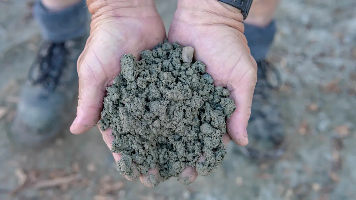 Aggregates