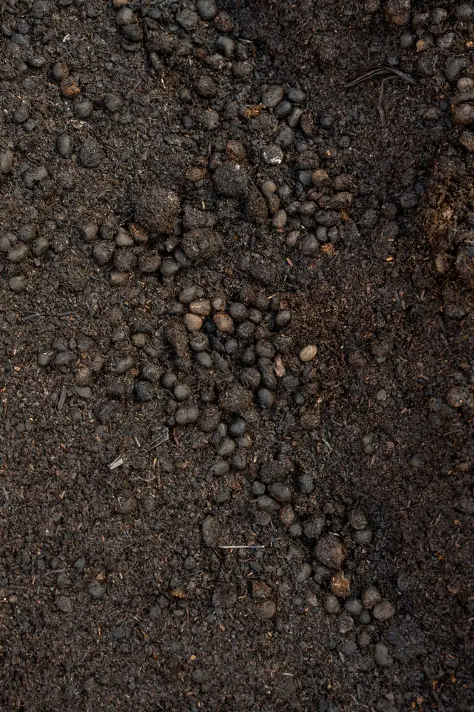 Sheep and Cow Manure — Bibra Lake yard