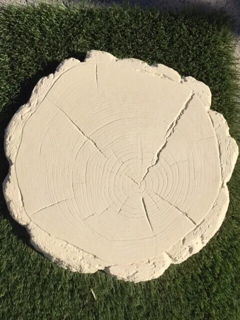 Tree Trunk at the Bibra Lake yard