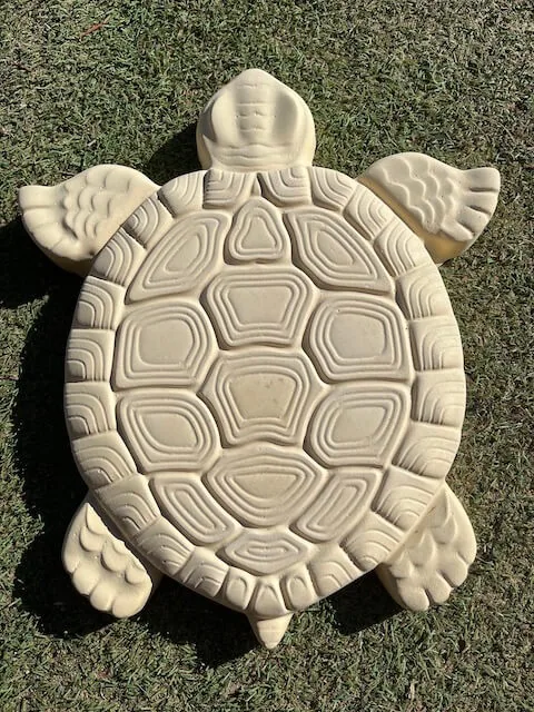 Turtle at the Bibra Lake yard