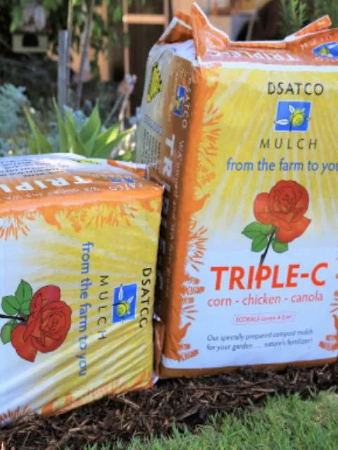 Triple C at the Bibra Lake yard