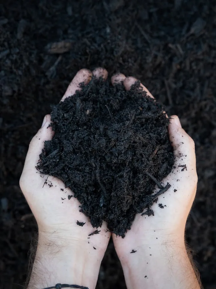 Tropical Plus Mulch — Bibra Lake yard