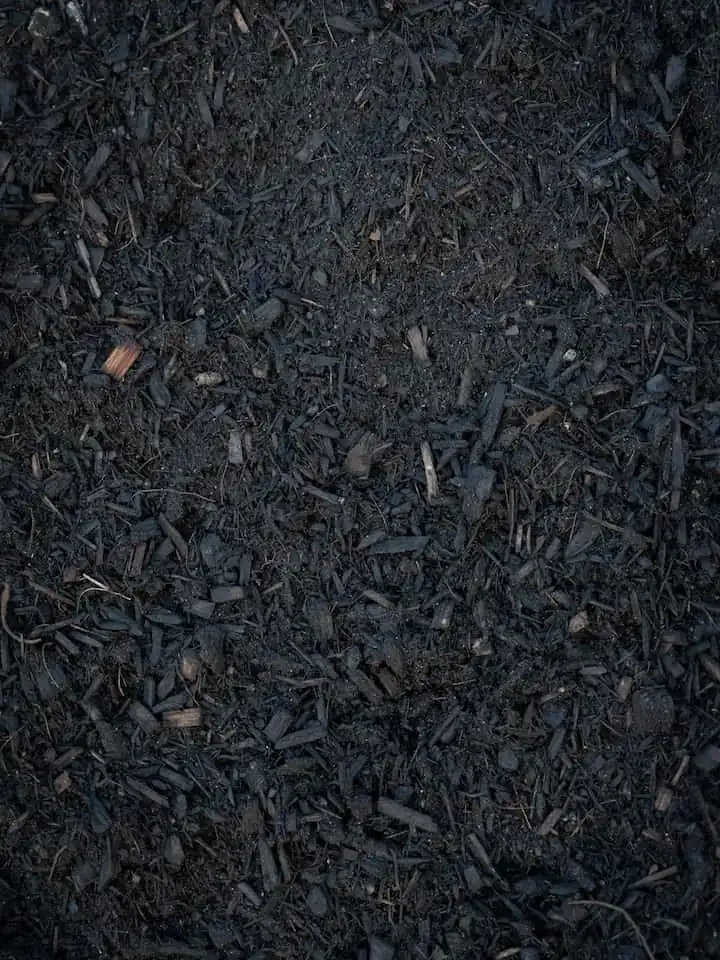 Tropical Plus Mulch, Bibra Lake yard