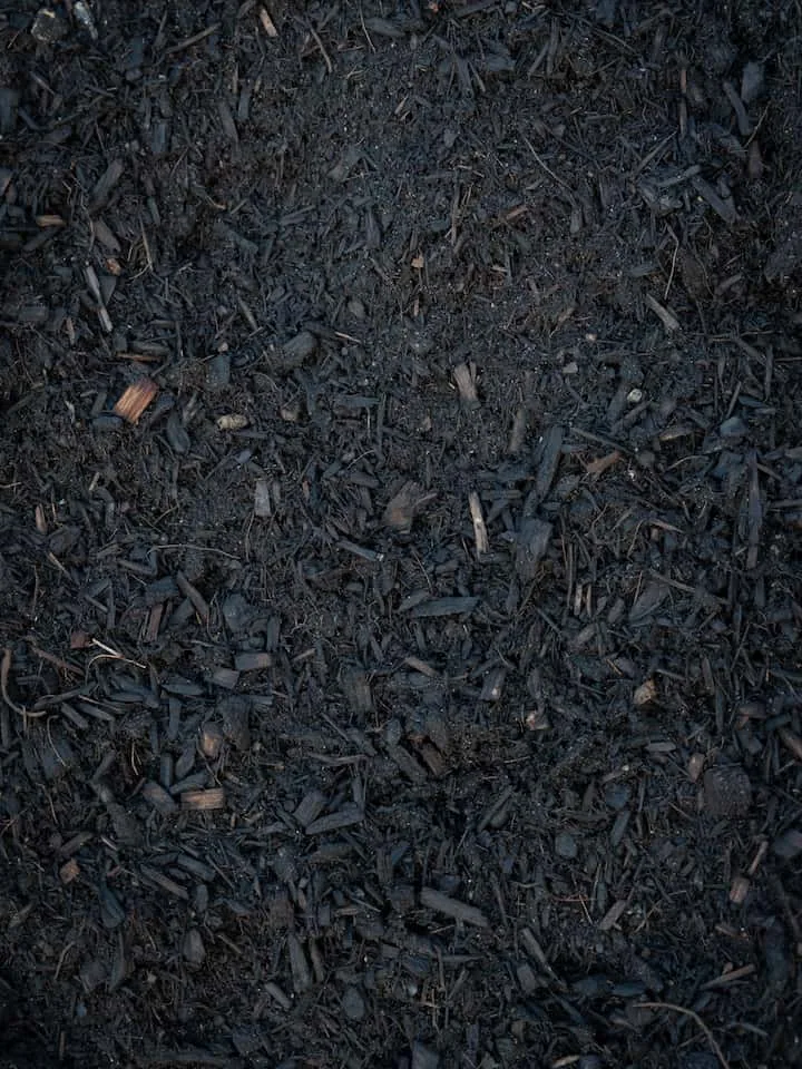 Tropical Plus Mulch, Bibra Lake yard
