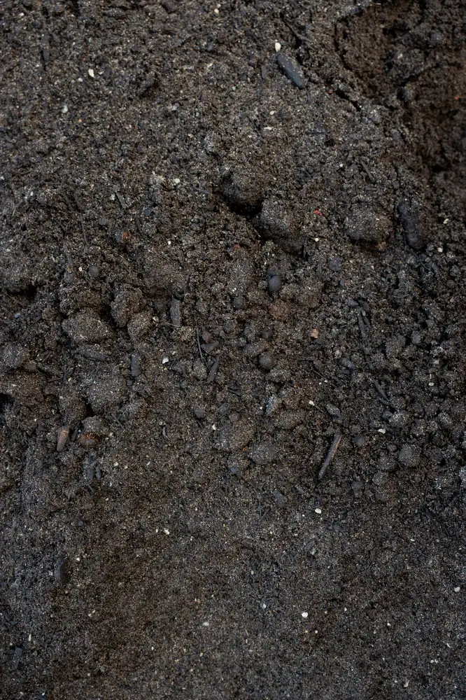 Veggie Mix — Bibra Lake yard
