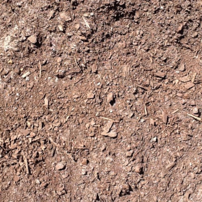 Potting Mix Potting Mix