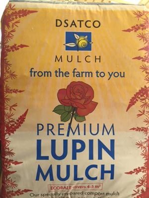 Lupin Mulch
