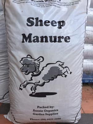 Sheep Manure