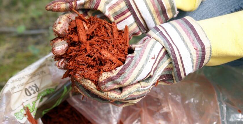 Gardening with Red Mulch