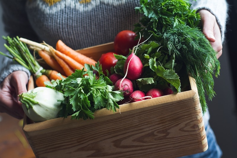 Vegetables To Plant In Winter Perth - D Lana Holmes