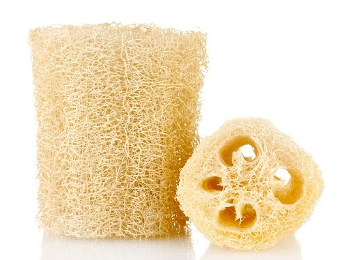 A Loofah Sponge