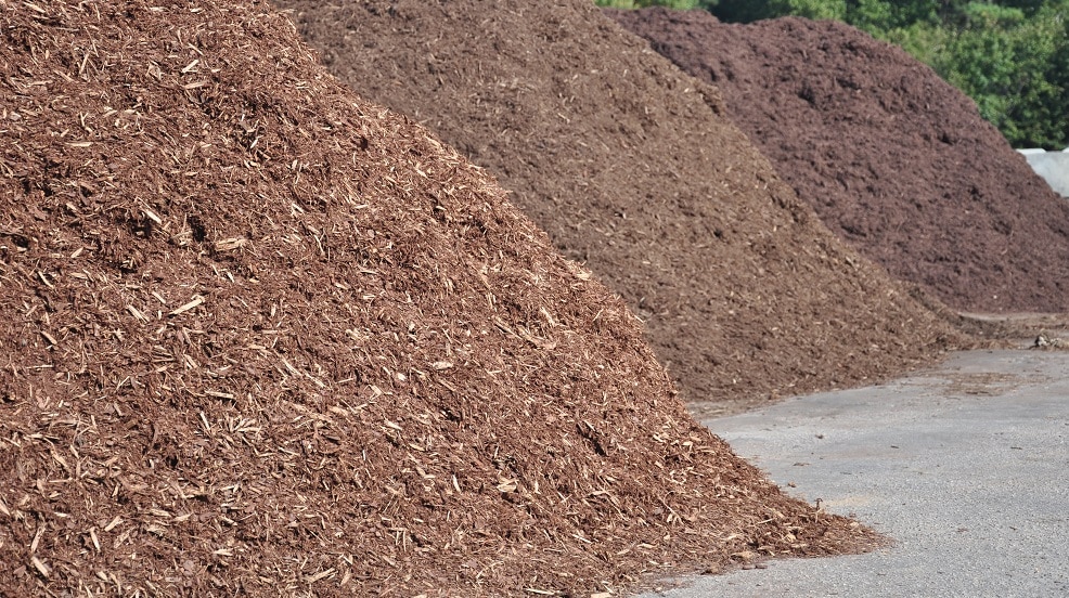 Various types of mulch