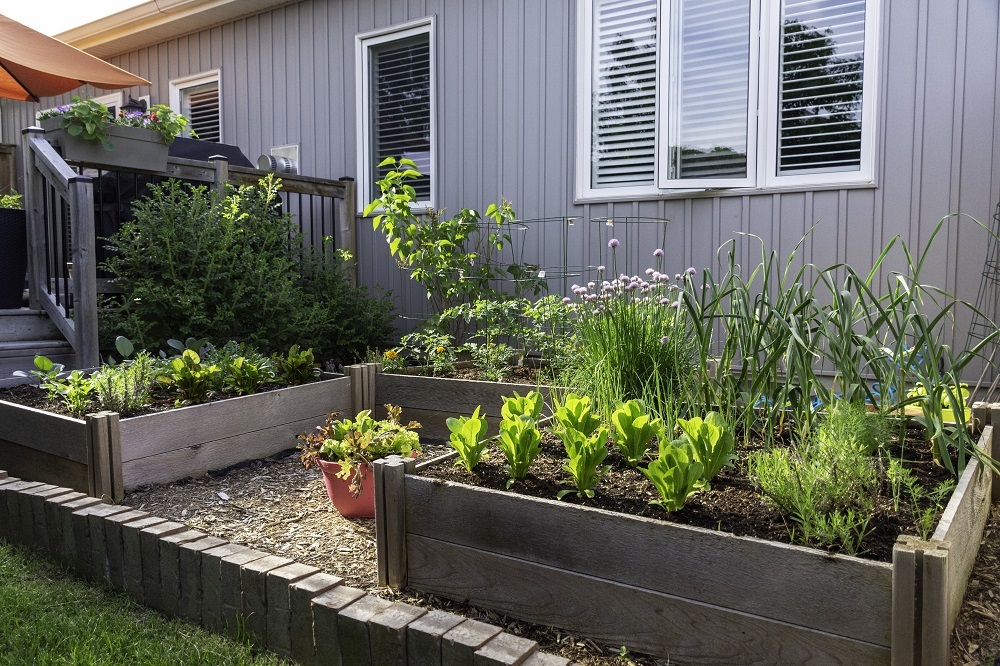 Proper planning is essential when building a successful veggie garden