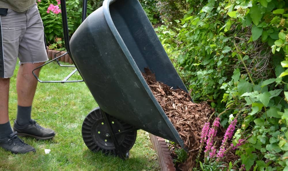 There are several types of organic mulch available, among the most popular are shredded bark mulch made from cedar, cypress and pine.