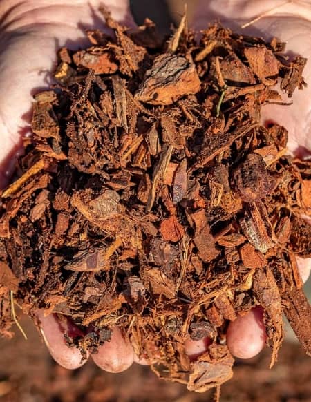 Pine bark mulch in gardens usually lasts up to 2 years.