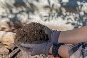 Some soils are best mixed with mulch and soil conditioners.