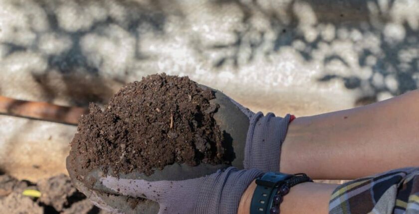 Some soils are best mixed with mulch and soil conditioners.