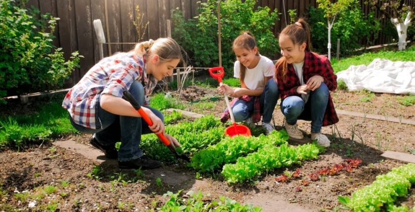 Growing your own garden is such a therapeutic and relaxing way to work with your kids on an activity that will keep them busy.