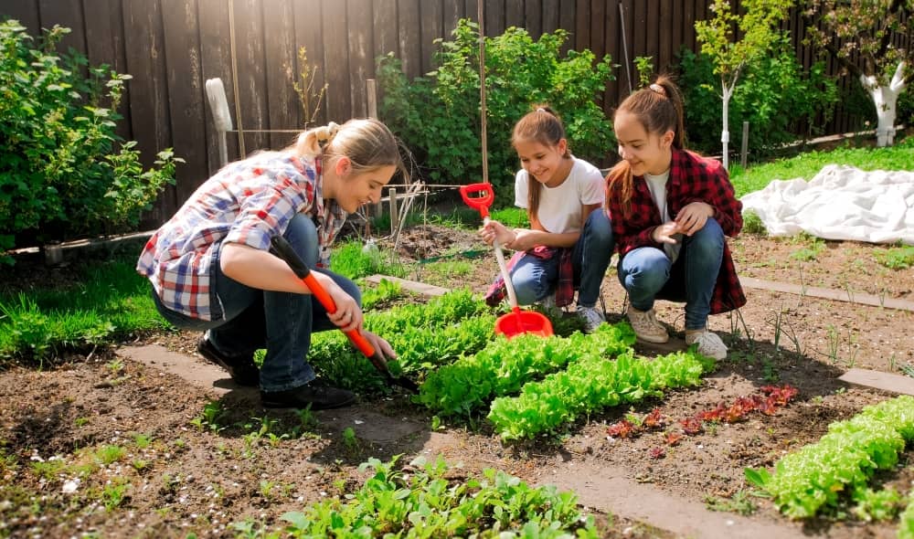 Growing your own garden is such a therapeutic and relaxing way to work with your kids on an activity that will keep them busy.