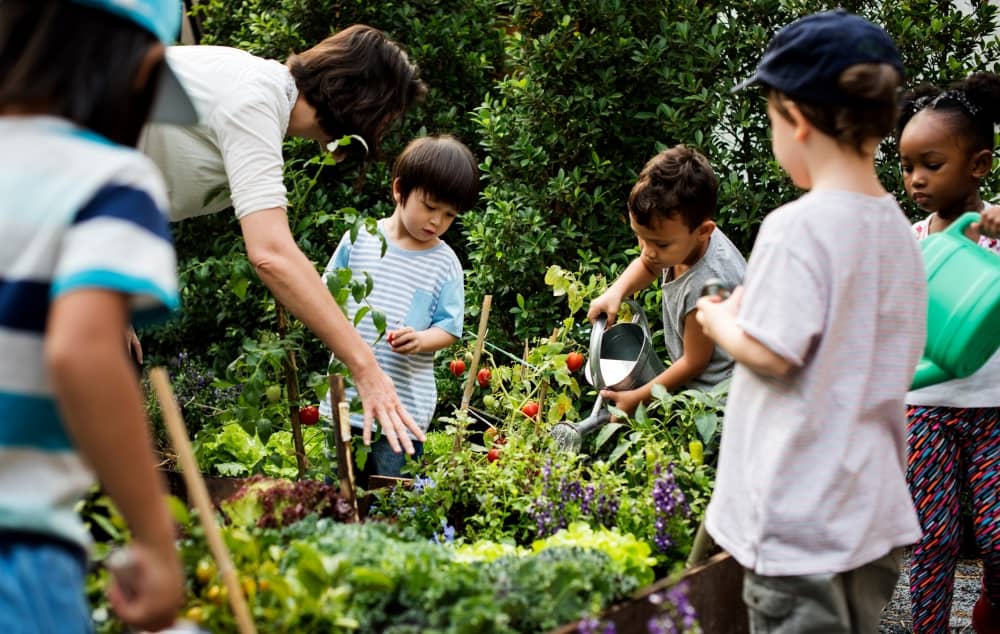 Gardening is a rewarding activity that teaches children several essential life skills.